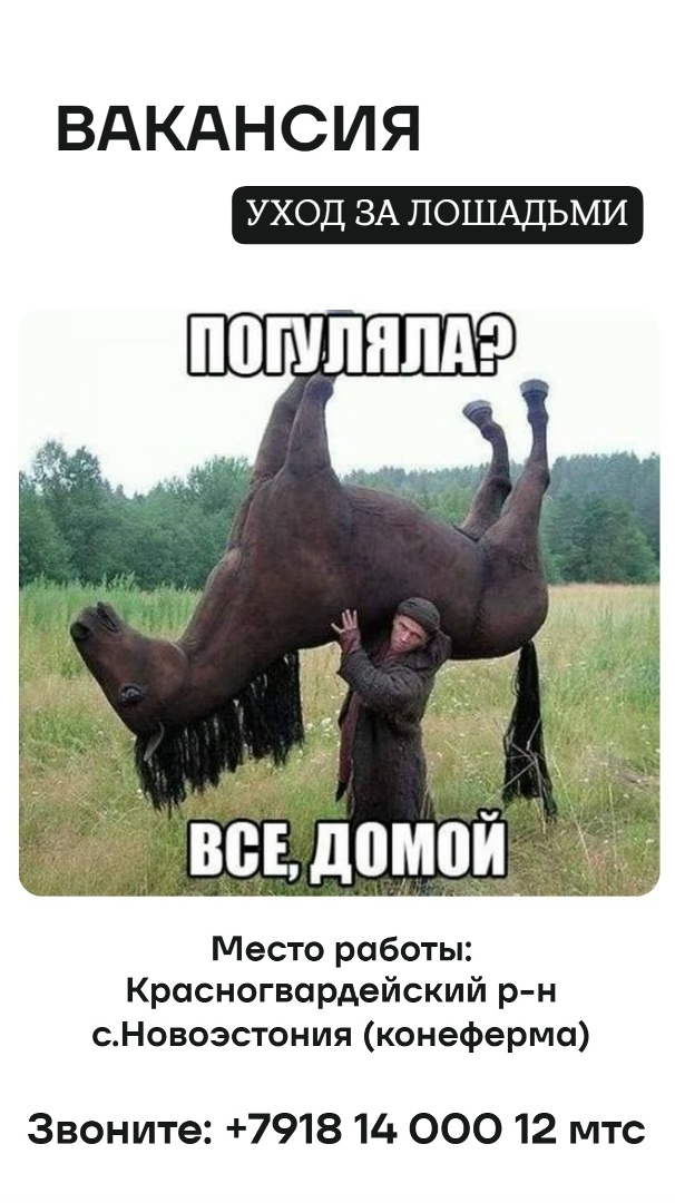 Мы ищем конюха на конеферму в с.Новоэстония
Звоните: +...