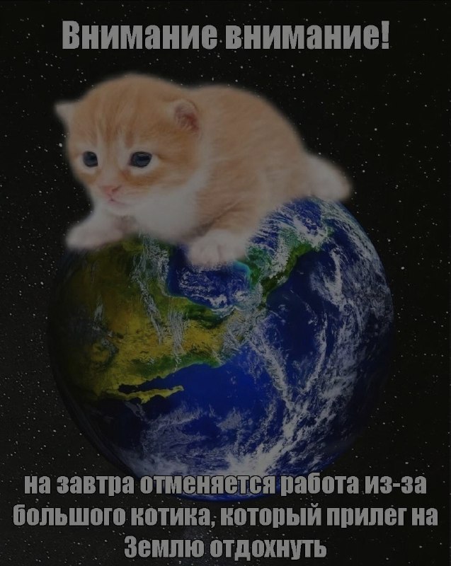 Ночная подборочка
Спать, режим