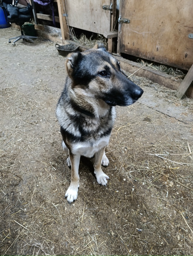 Чей хвостик после 00.00 часов каждую ночь прибегает? Може...