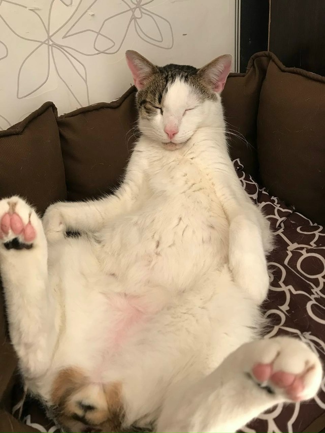 Батон считает что на Таити лететь не стоит !! Так как в С...