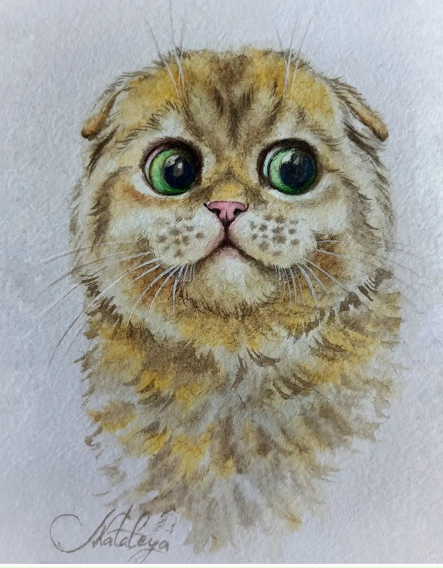 Художник Ольга Матюнина