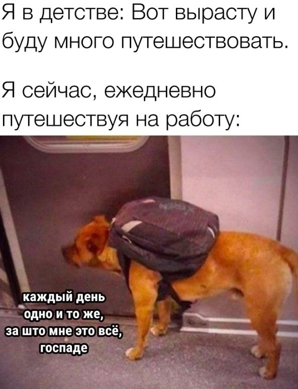 Ох уж эти утренние «путешествия»