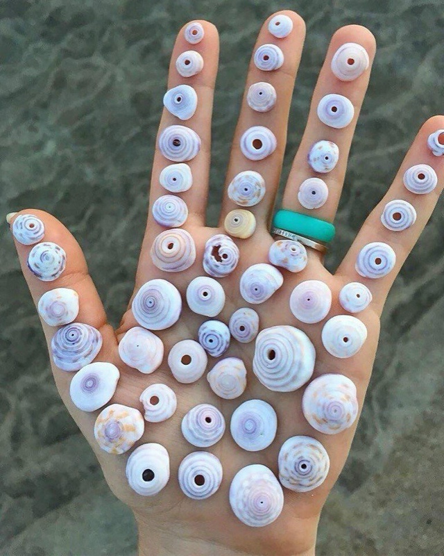 Подарочки с моря) Красота!