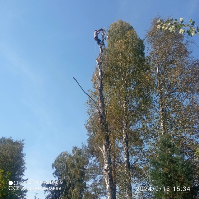 ❗Бригада опытных мастеров выполняет строительные раб...
