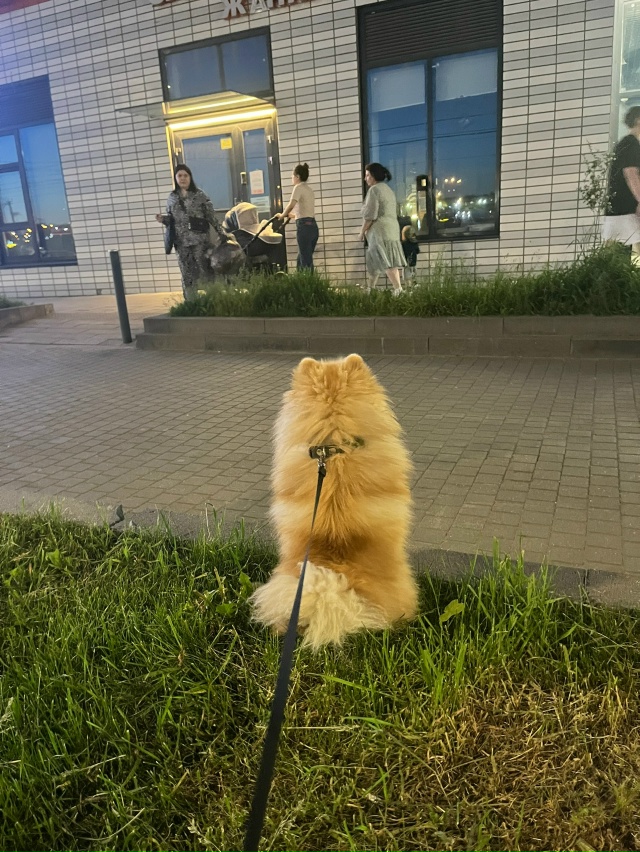 Добрый вечер всем. Друзья, возможно не по теме , но мне о...