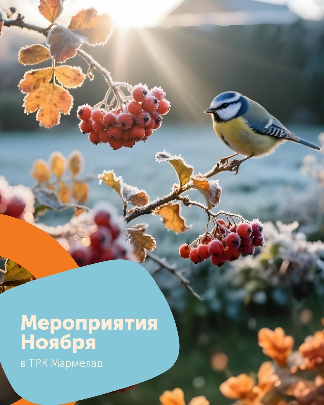 Проведем первые выходные ноября вместе с ТРК 