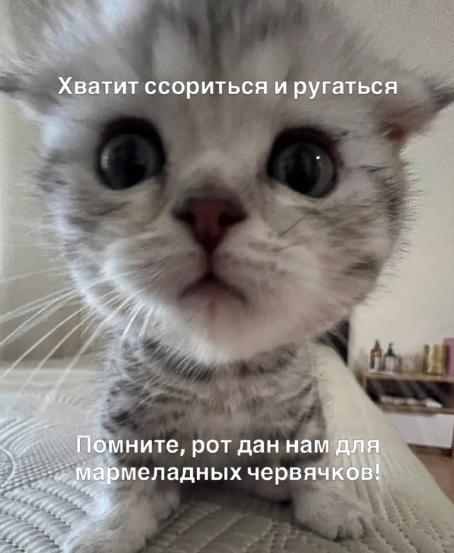 лайк, если согласен