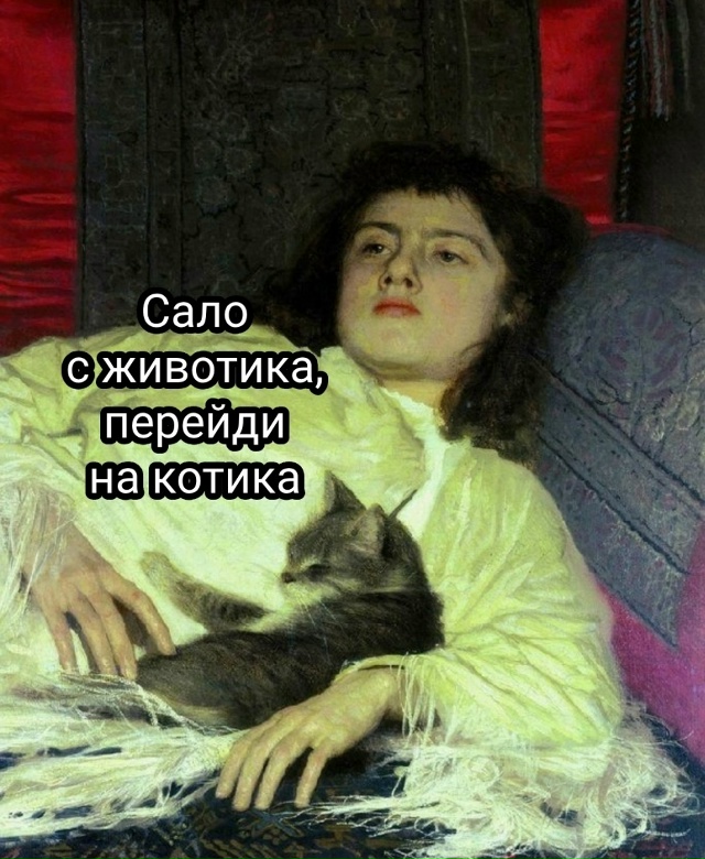 Может котам легче похудеть