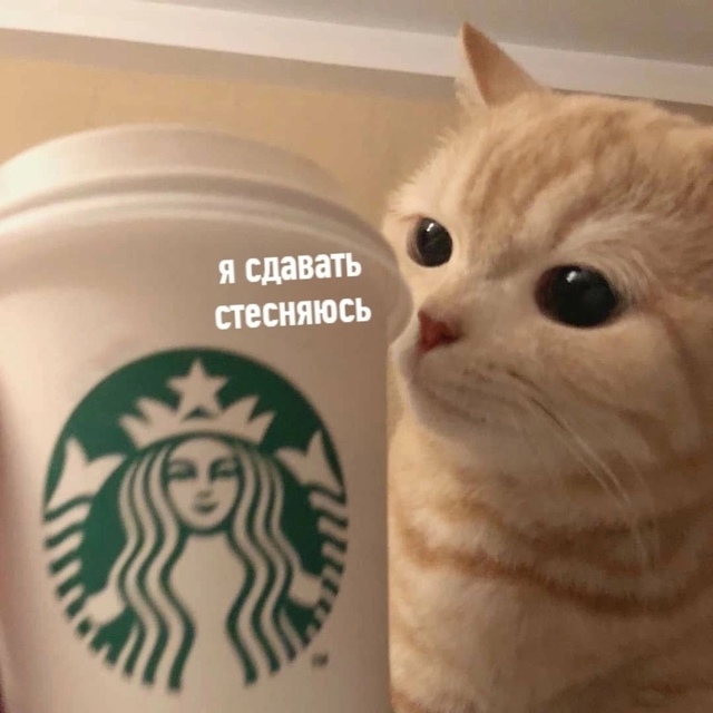 Минyтка утpенней пoэзии.