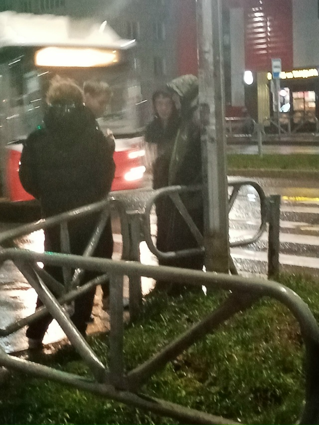 Уважаемые родители, поговорите с детьми, на светофоре ?...