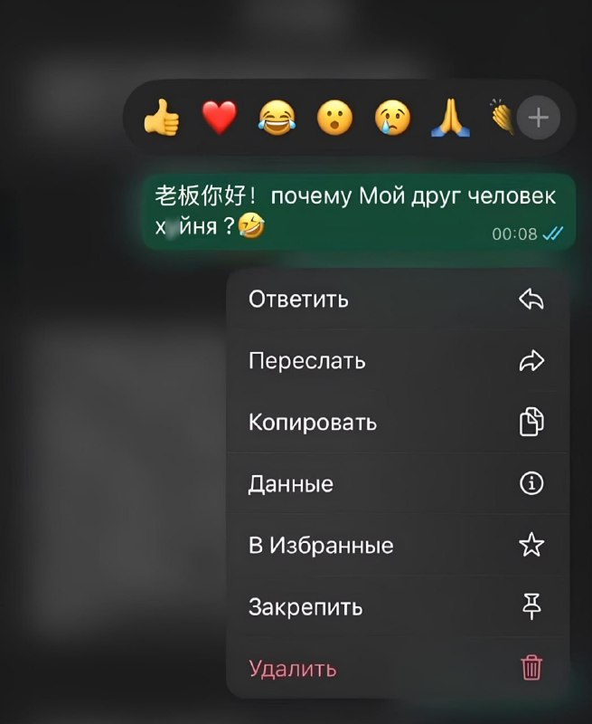 «Он хочет и на х*й сядь, и с рыбой поиграть».
Деловая переписка с китайцем вышла на новый уровень