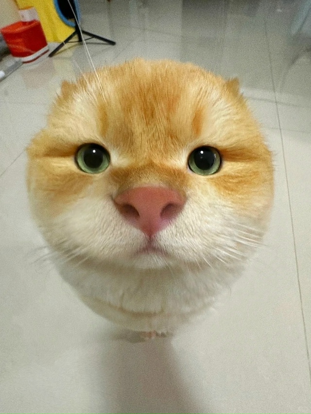 Картошечка