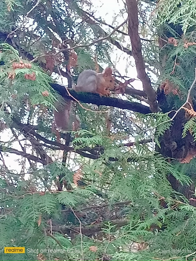 Какая милашка😍
