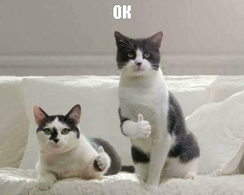 Ок — самое популярное слово в русском языке.
Популярность междометия связана с его информативностью