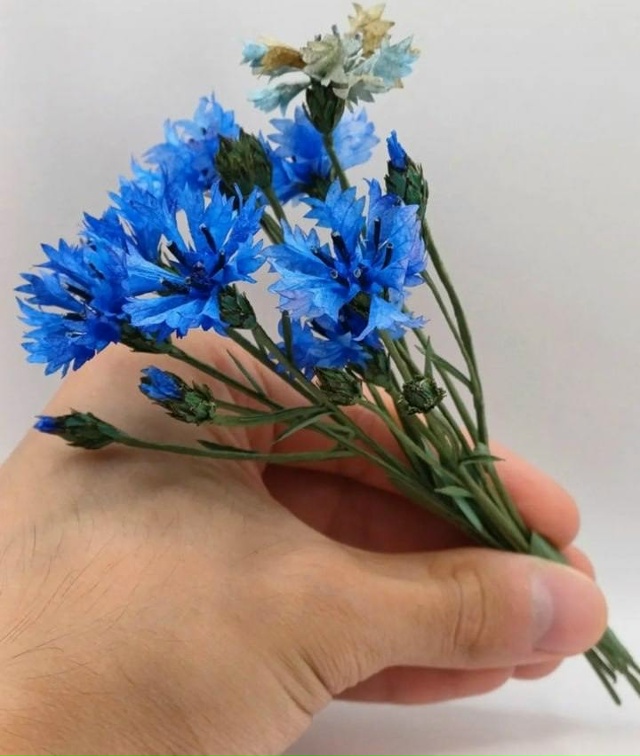 Сделали вот такую поделку из бумаги! Оцените?