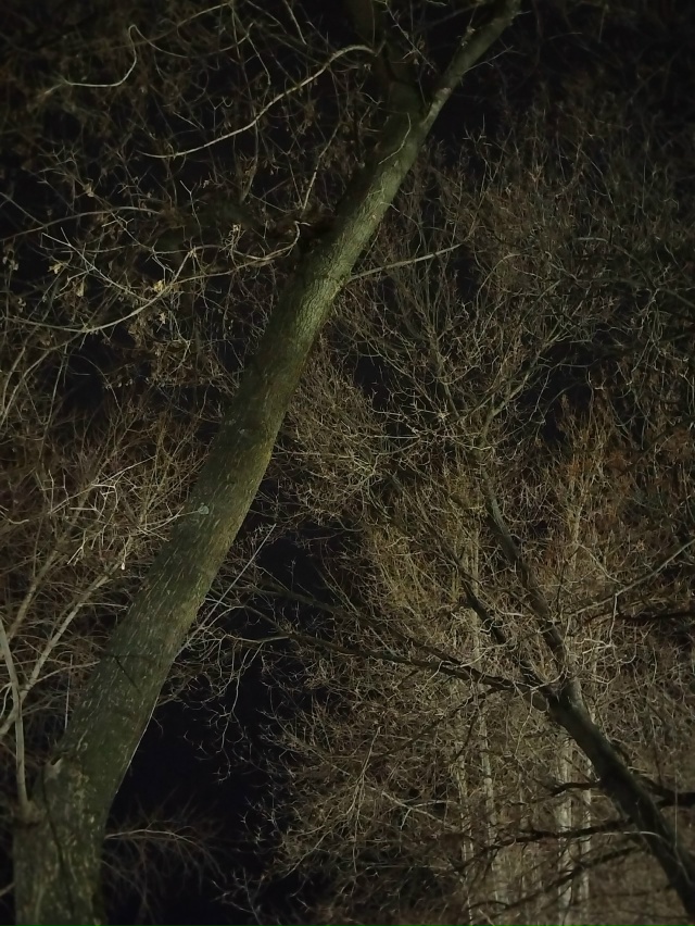 Огромное спасибо Пожарной части п. Уральский 