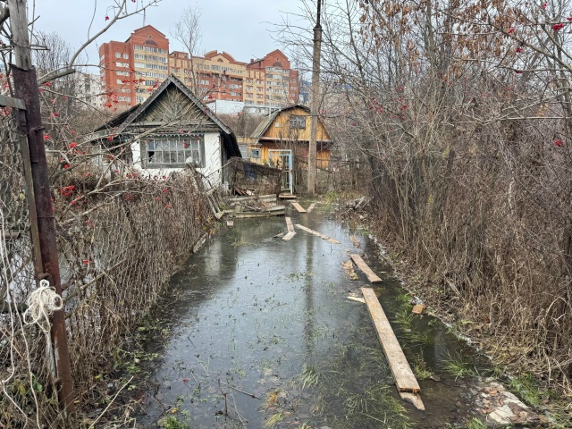 ? Бобры стали причиной затопления садовых участков Н?...