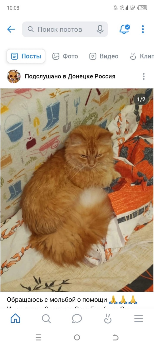 Ищу котика по имени Сэм. Котику 6 лет. У него проблемы со...