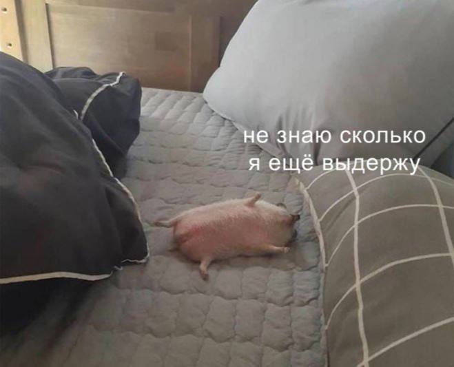 Жара вызывает хроническую усталость — при +24 °C и выше нарушаются фазы сна, мешая организму восстан