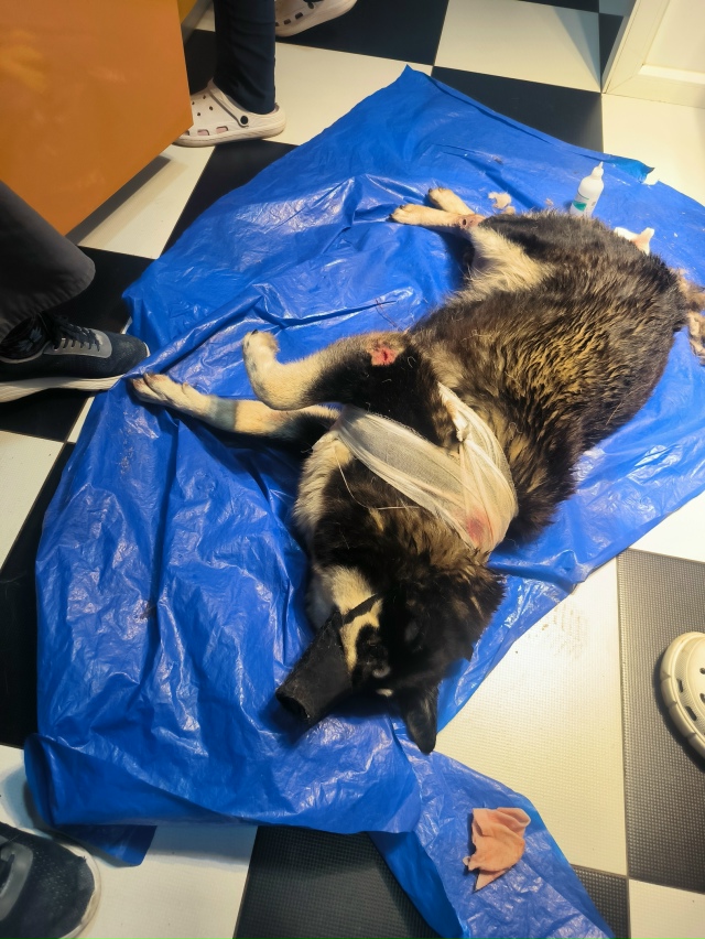 Друзья, нужна помощь! 😪
Сегодня звонит папа 