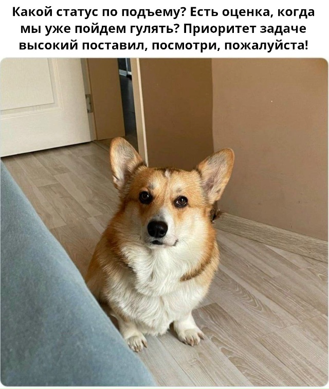 #программирование #кодинг #айти