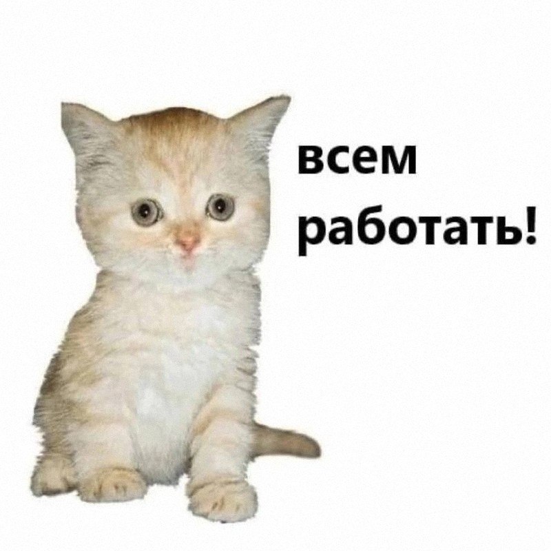 Утренняя подборочка