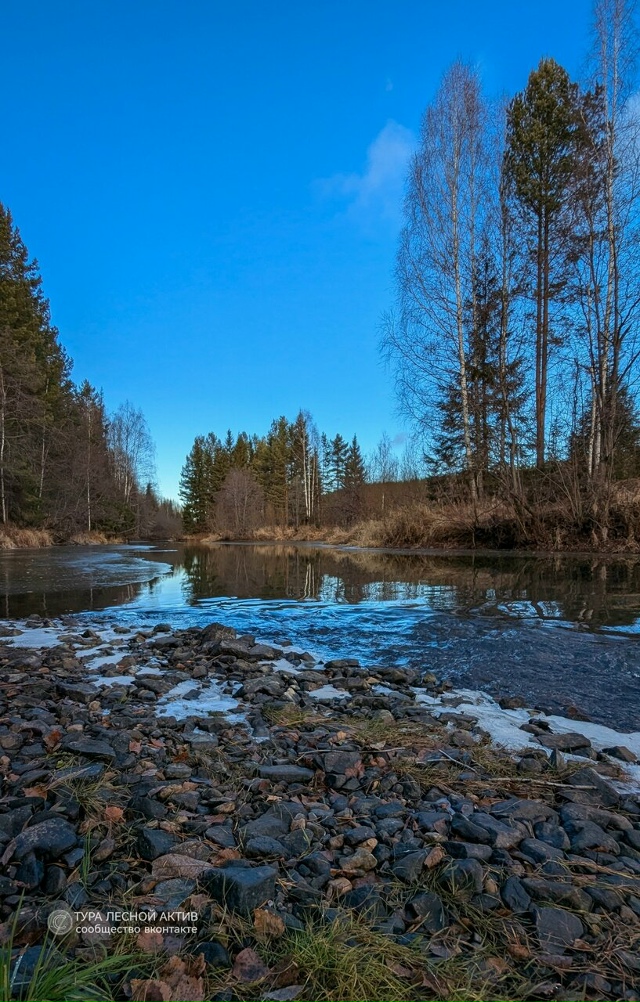 Ноябрь у реки Тура во всей эфемерной красоте.
Окрестно?...