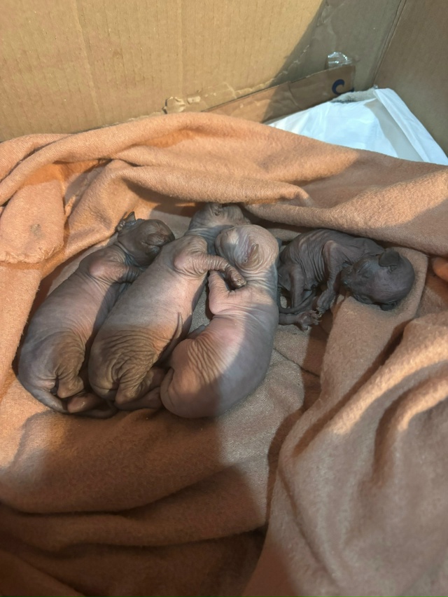 Растут детки наши❤️