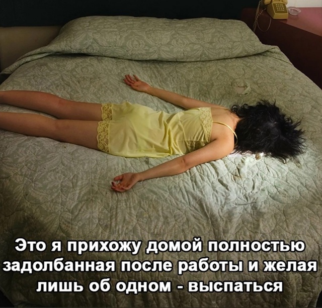 Вот никакого внимания котам