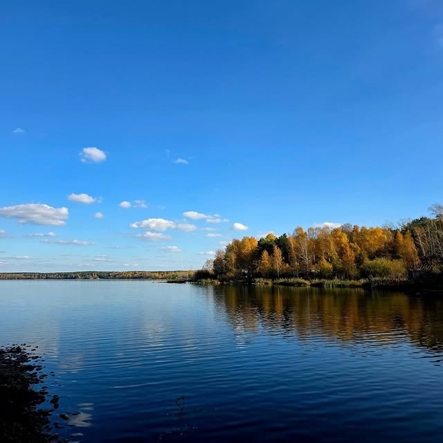 Осенние пейзажи🍂