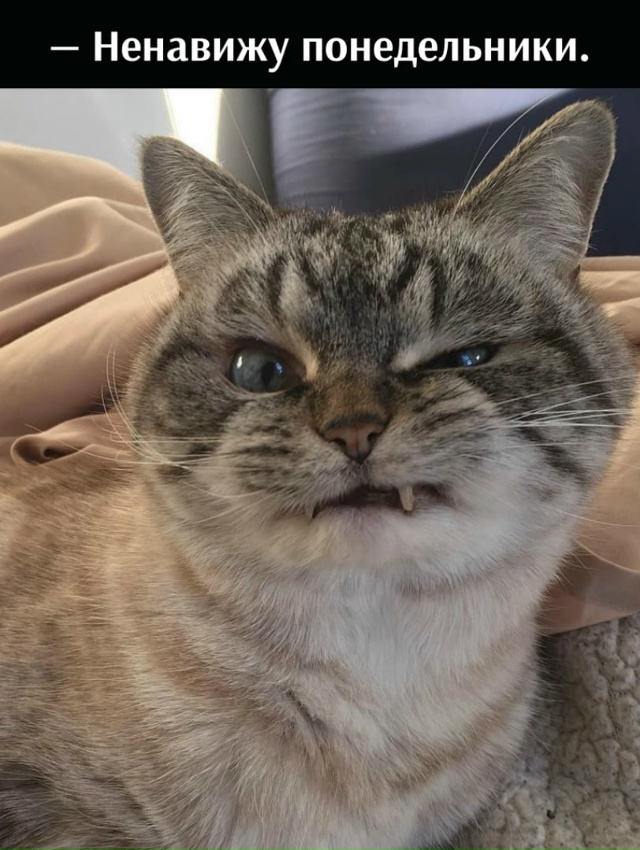 Легче не стало)