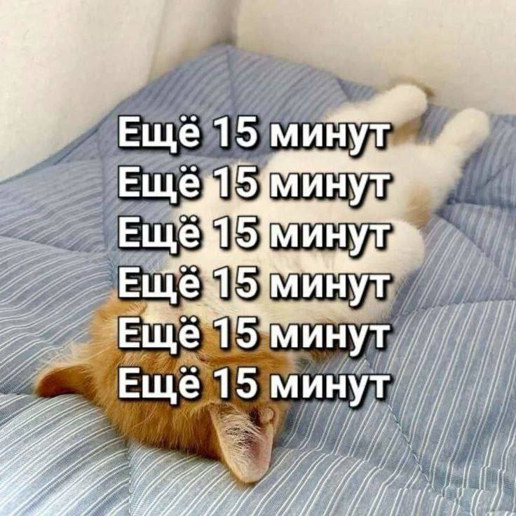 Утренняя подборочка