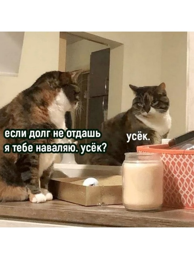 Вот и поговорили😅