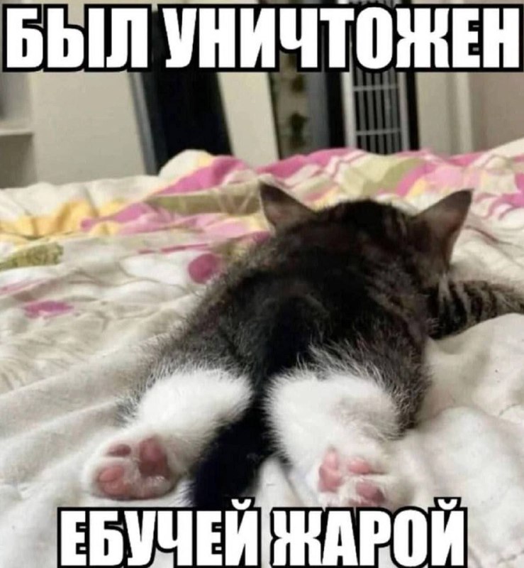 Утренняя подборочка