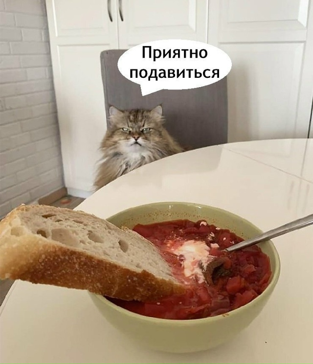 Все по классике 😂