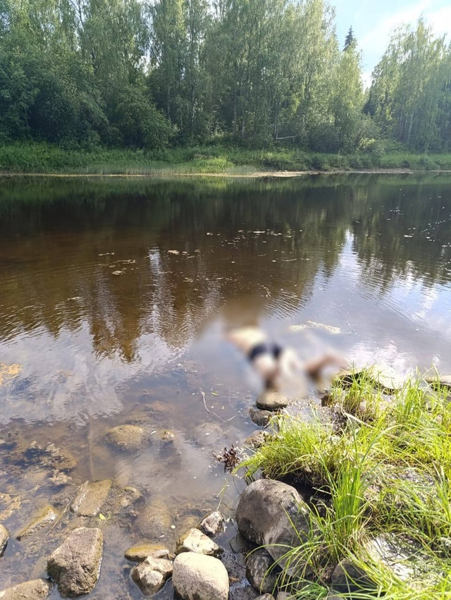 ❗Водолазами обнаружено тело мужчины в р. Вель
Водола?...