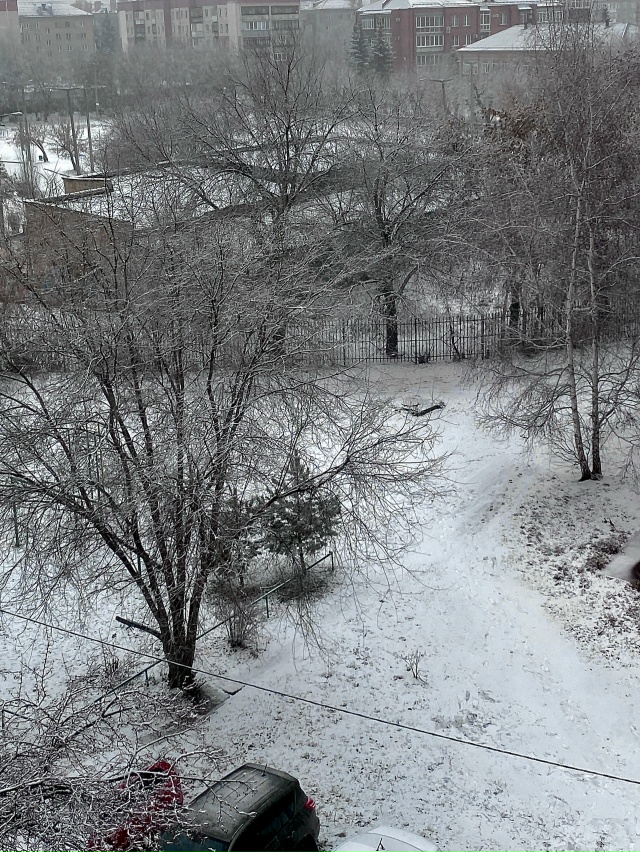 ❄?Наконец-то, черно-белые картинки за окном.