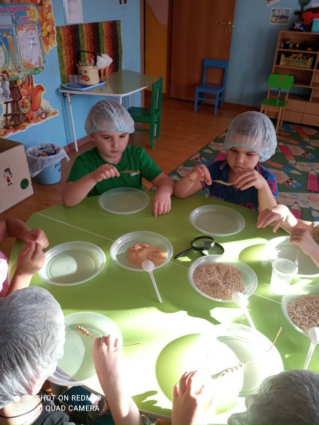 ?⭐️ Изучение профессии агронома в проекте 