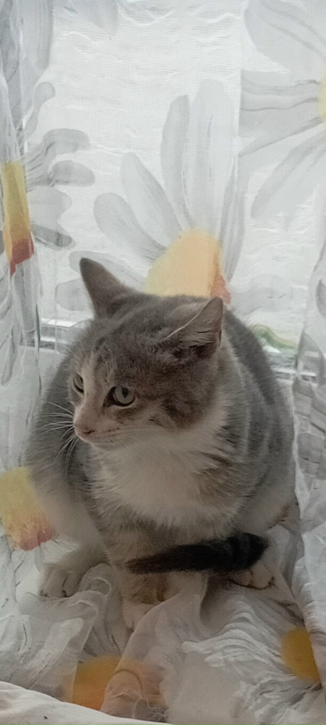 🐈‼️Срочно ищут 🏠 котята‼️🐈
Примите пожалуйста в ?...