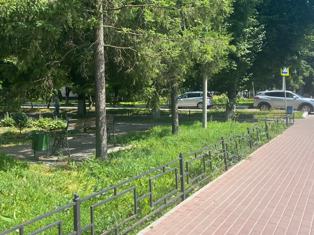 Давно не гуляли по городу. Понятное дело что сначала до...