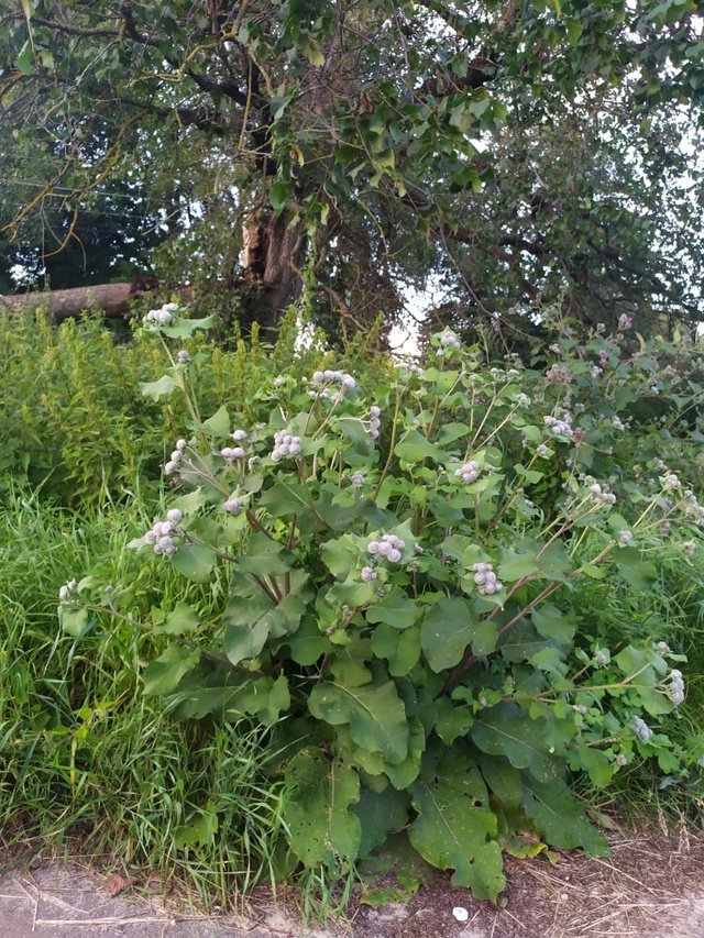 Радутино. Село Партизанской Славы. Детская площадка в ?...