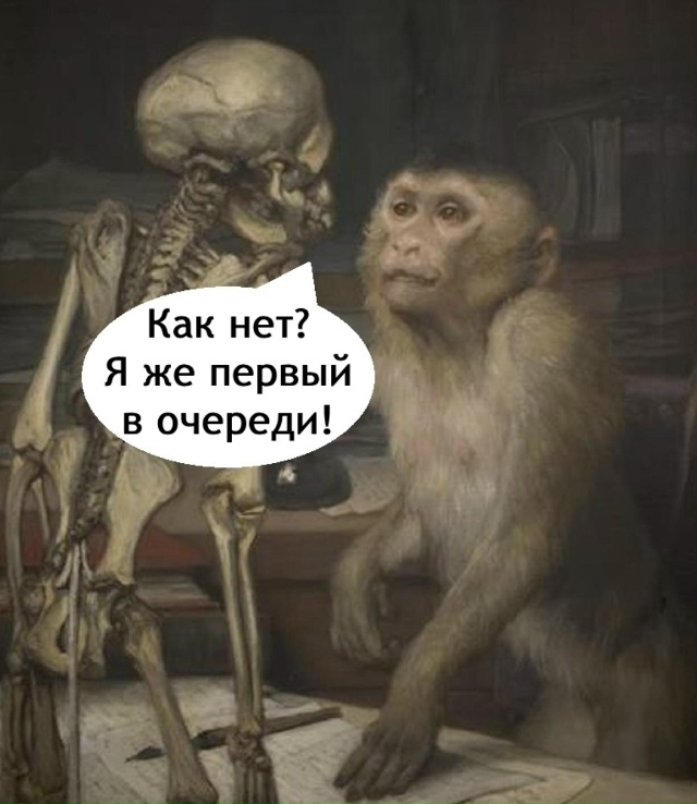 Что за жиза!