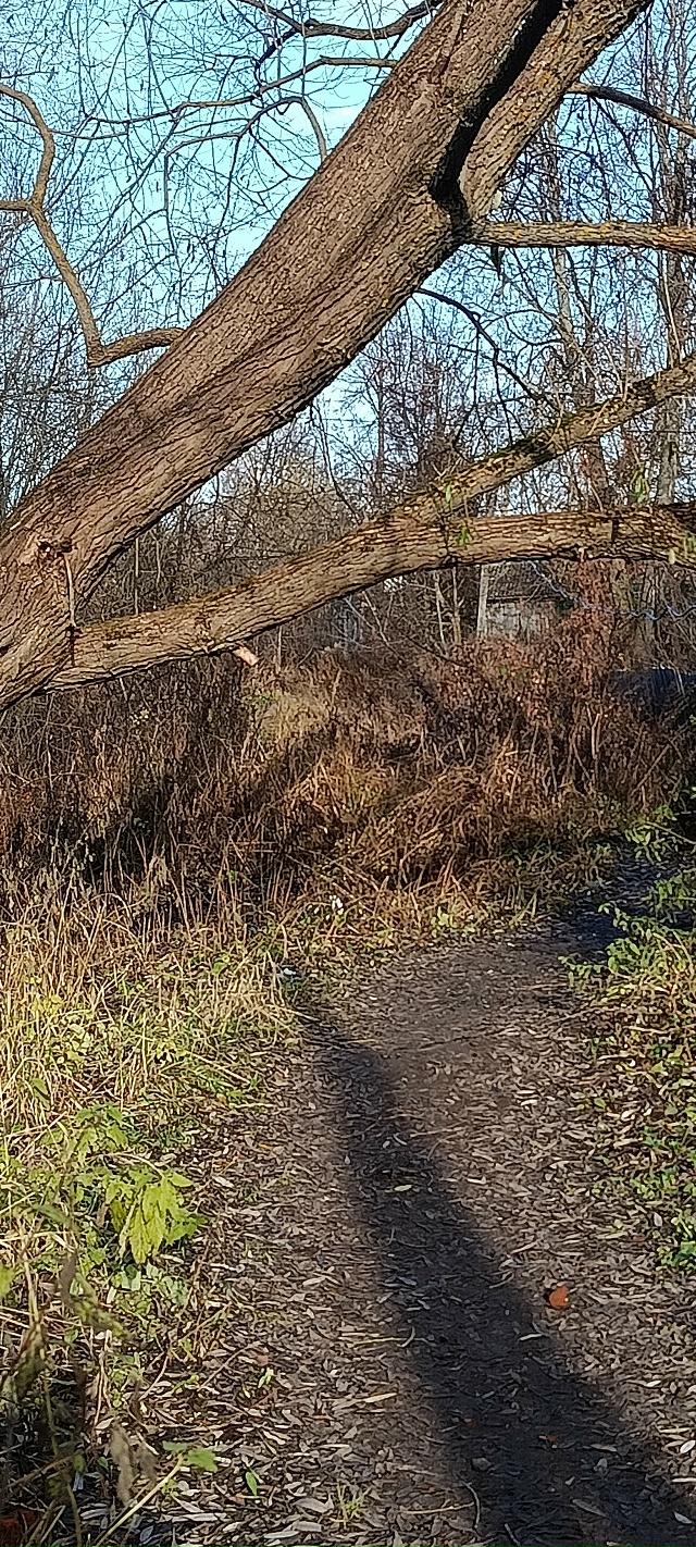 Добрый день уважаемая администрация.Убедительно прос?...