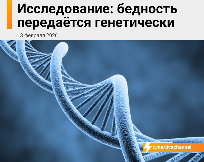 ❗️Бедность передаётся по наследству, выяснили учёные
Если у твоих родителей есть «ген» депрессии, т