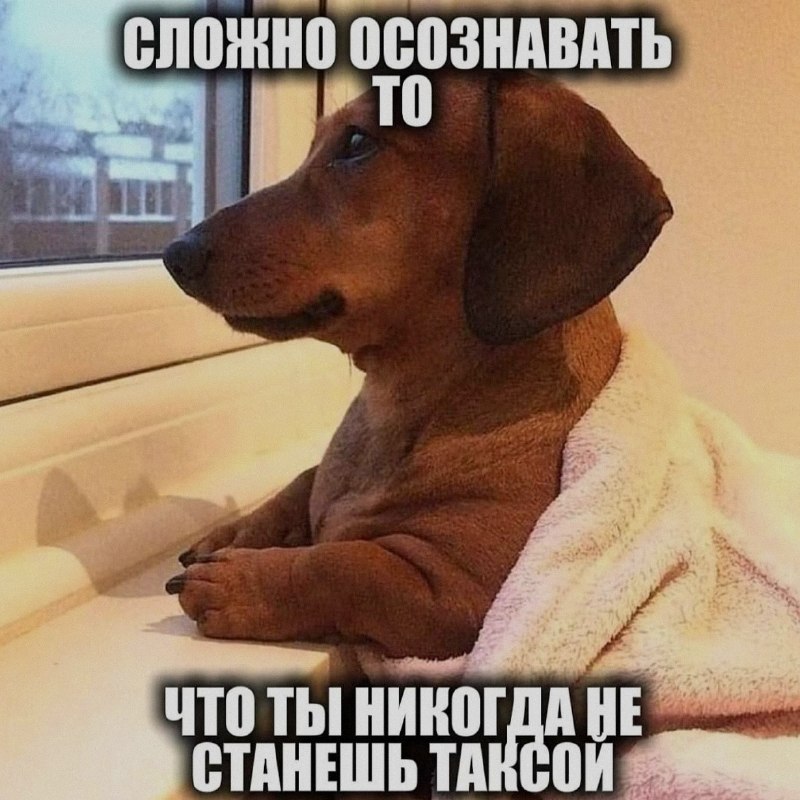 Ночная подборочка
Спать, режим