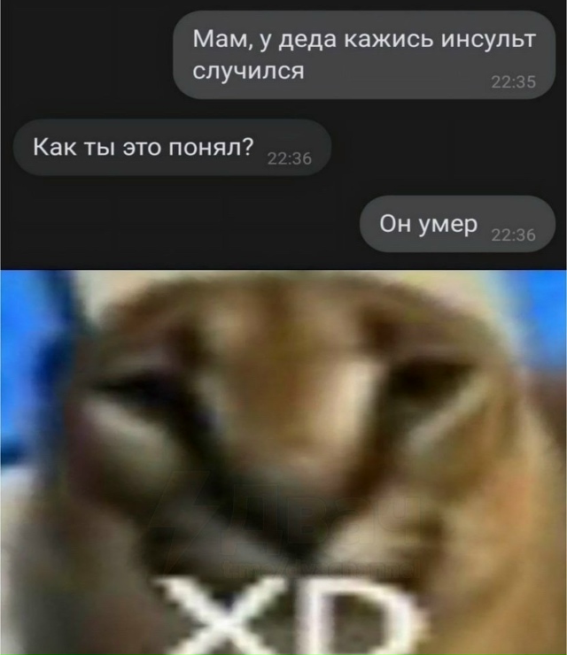 подборочка мемов