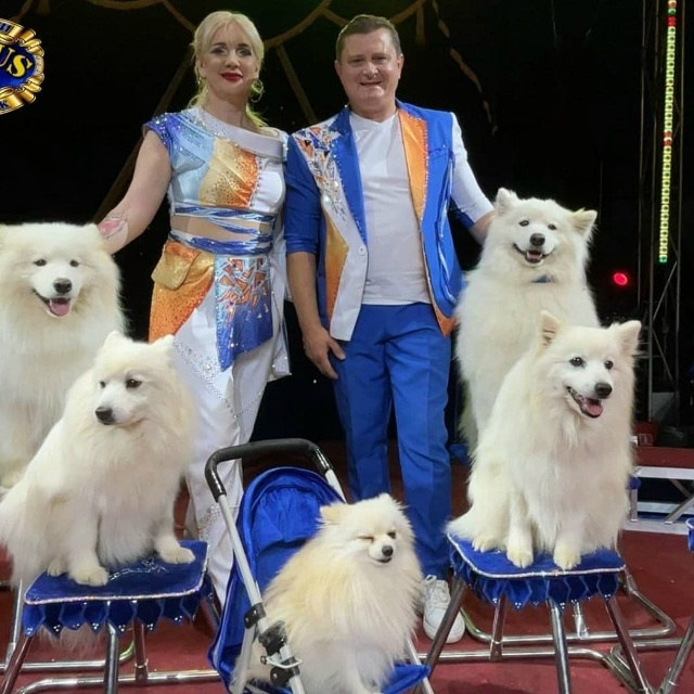 Не успели мы оглянуться,как яркие и звонкие гастроли ц?...