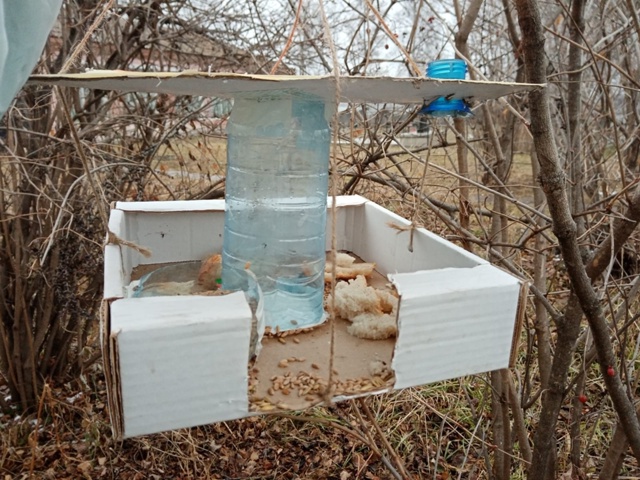 КАНИКУЛЫ В БИБЛИОТЕКЕ ЩЕТИНКИНА ? Ура, Ура, Ура ! А у...