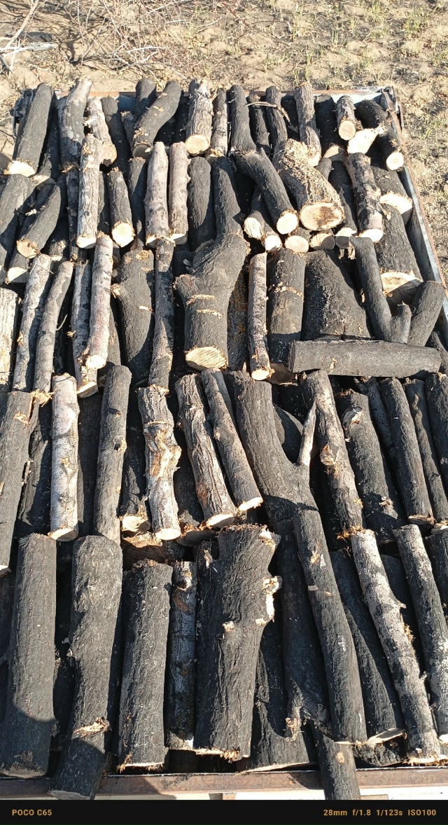 Продаются дрова Тополь-(2000т.-1 куб.)
Карагач-(2500т.-1 куб.)
...