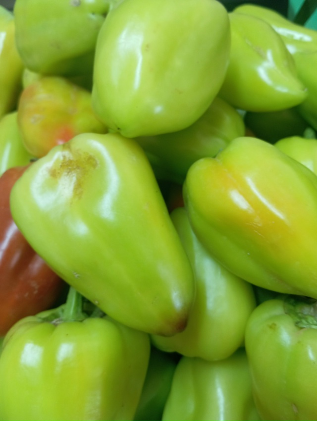 🔥Предлагаем вашему вниманию продукцию местных бахче?...
